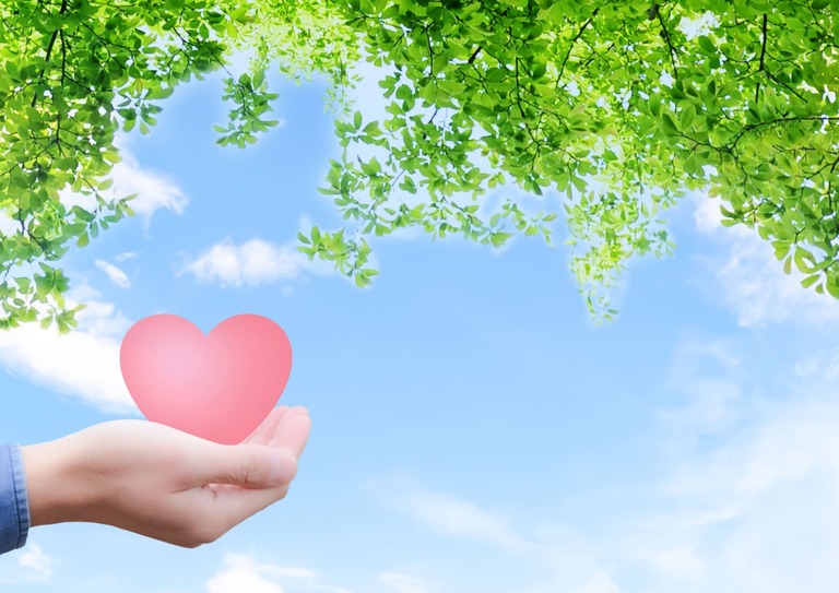 特徴その1の画像